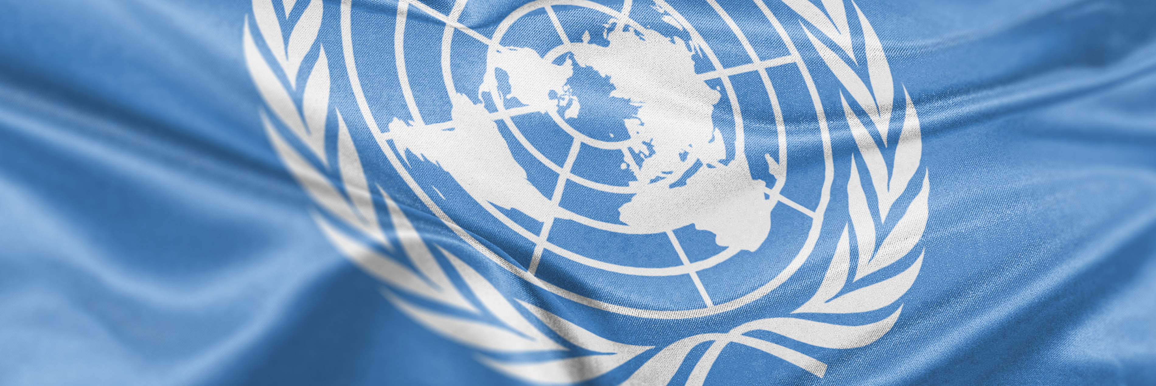 photo of United Nations flag