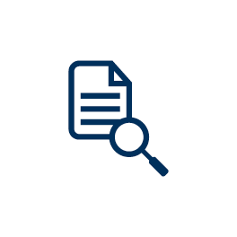 document and magnify glass icon