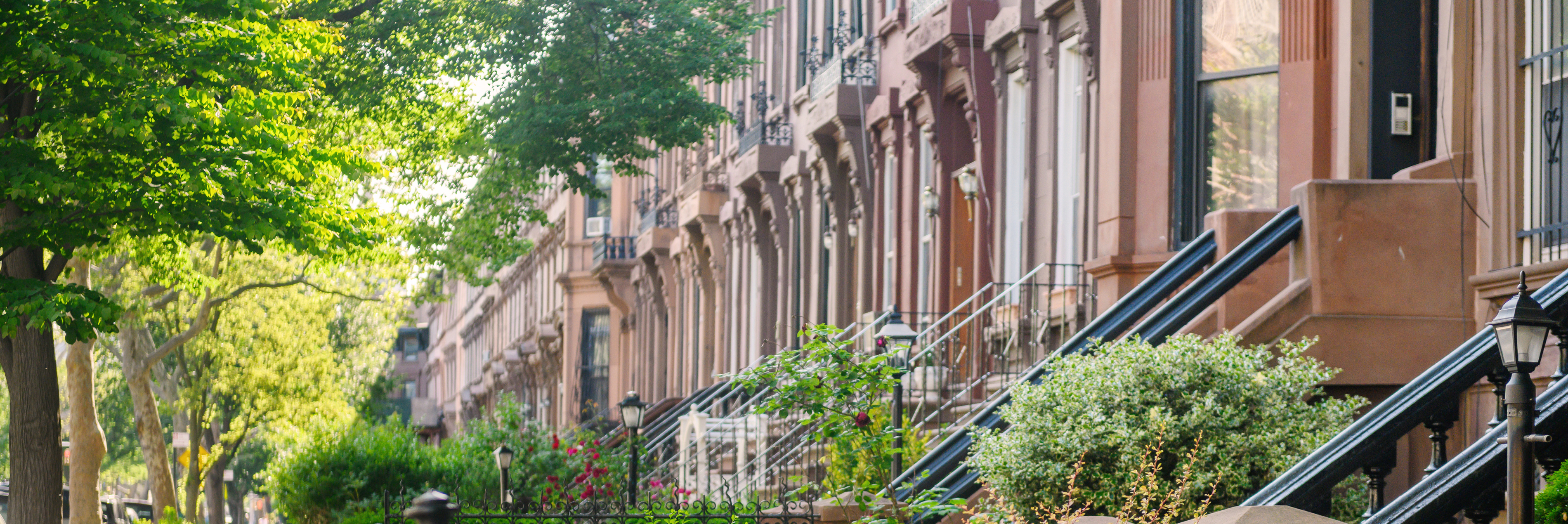 Houses in Bed Stuy