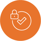 Lock with checkmark icon