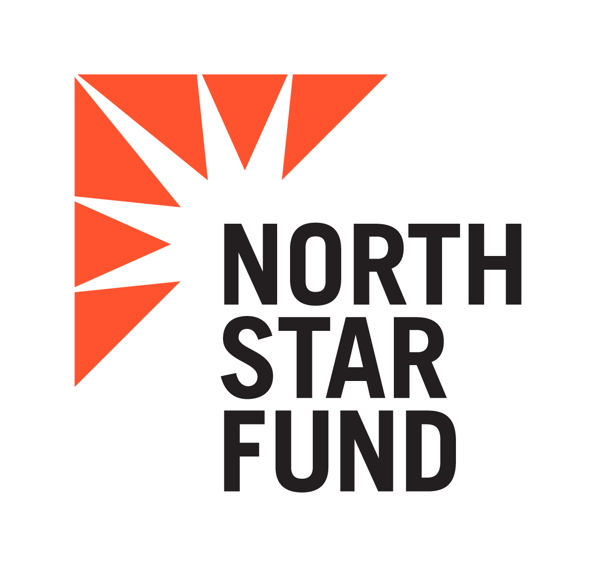North Star Fund logo